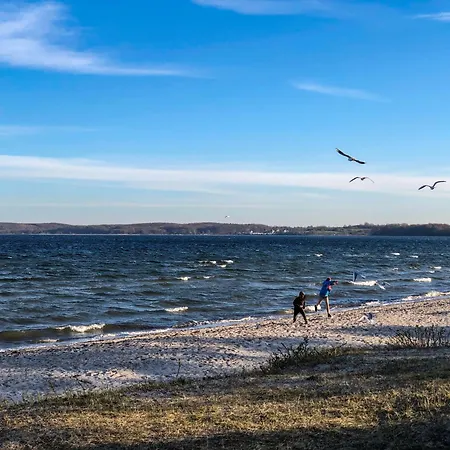 Moewennest Tatil Evi