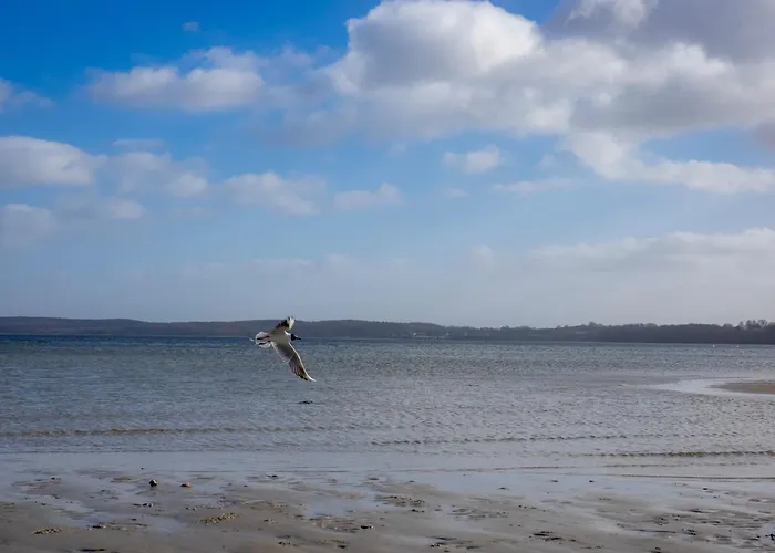 Casa de Férias Moewennest *