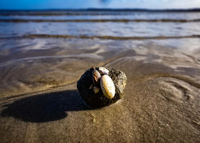 Casa de Férias Moewennest Glücksburg